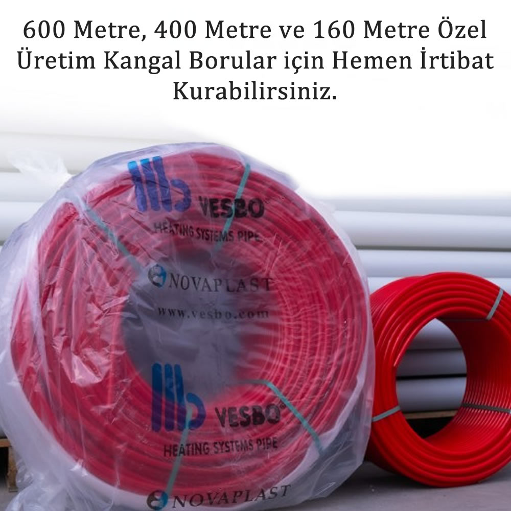 Text